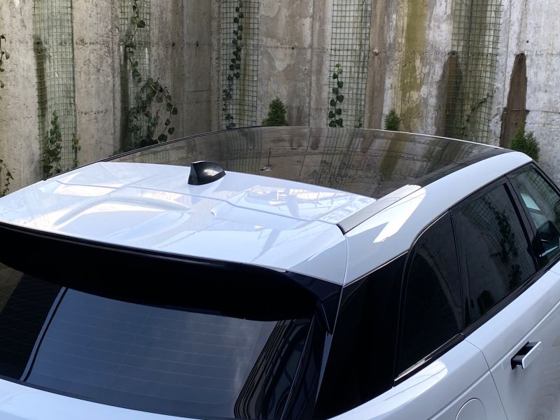 2025_03_27_17_09_IMG_7769