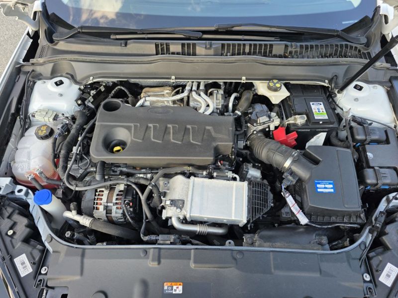 photo_15_2025-05-23_15-05-42