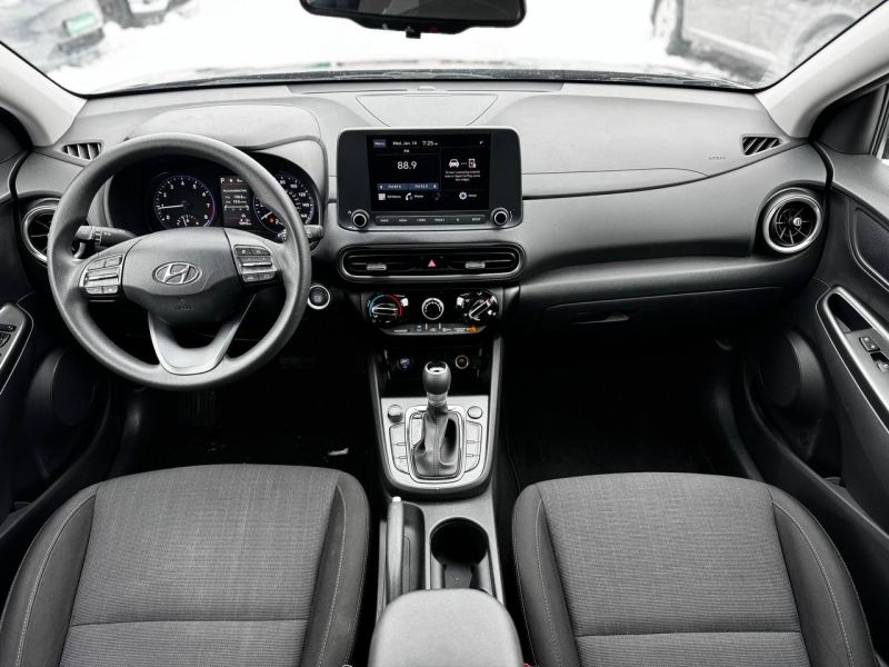 photo_37_2026-02-19_17-50-14