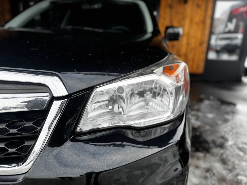 photo_4_2026-02-12_16-40-20